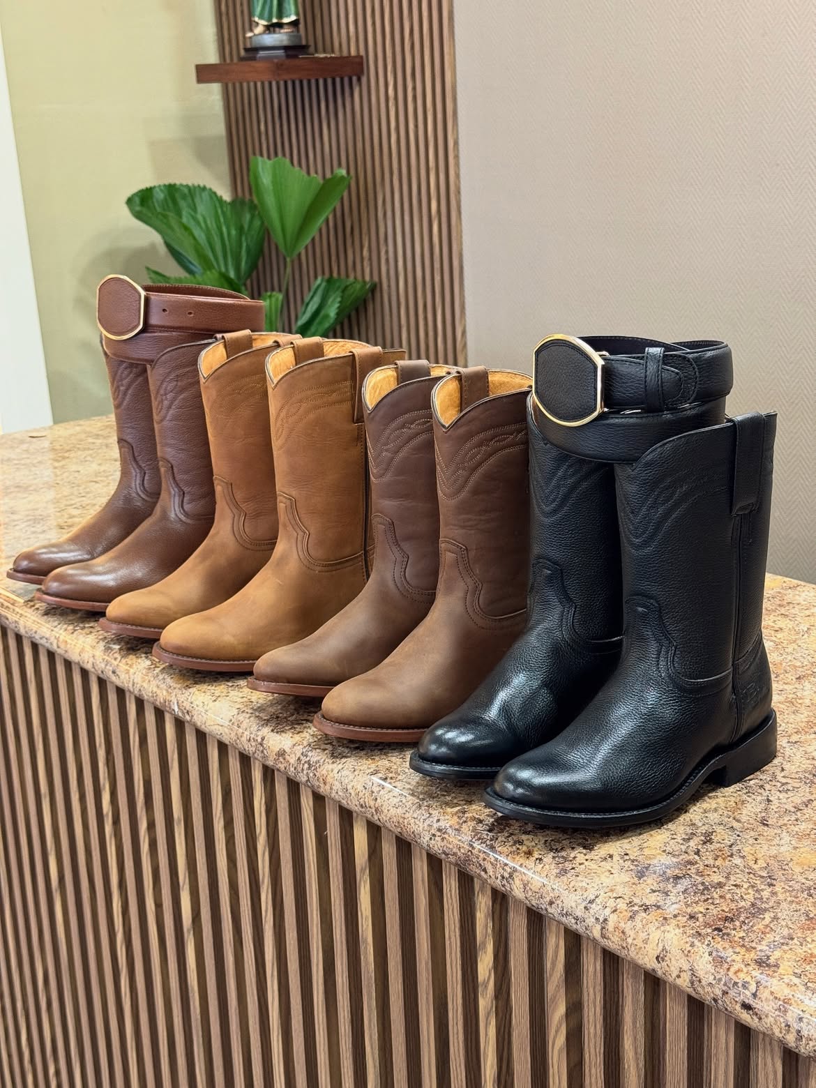 IMG 1 - Colecci&oacute;n Roper